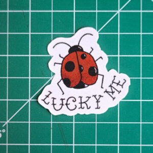lucky me lucky bugs
